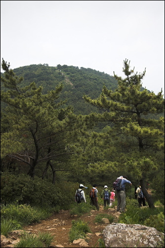 엄광산에 이르기 까지 4개의 봉우리를 넘어야 합니다. 세번째 봉우리가 보입니다. 